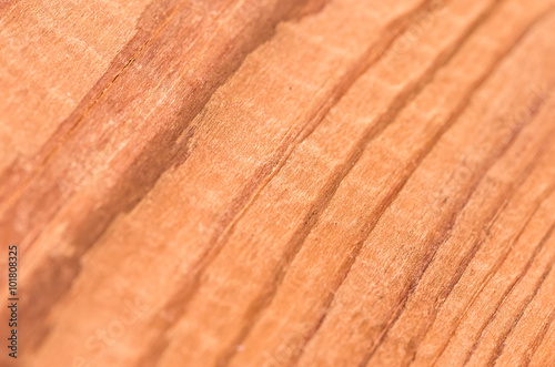 Texture of wooden pine planks