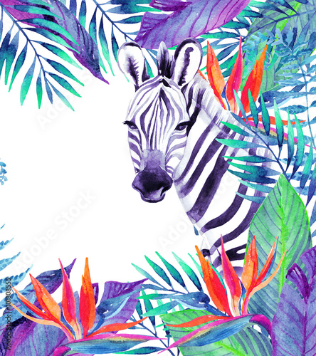 Tropical jungle card. Floral design with zebra on white background.