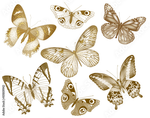 Set of vector butterflies. Insect vintage collection for design and scrapbooking. EPS 10. © julietarts