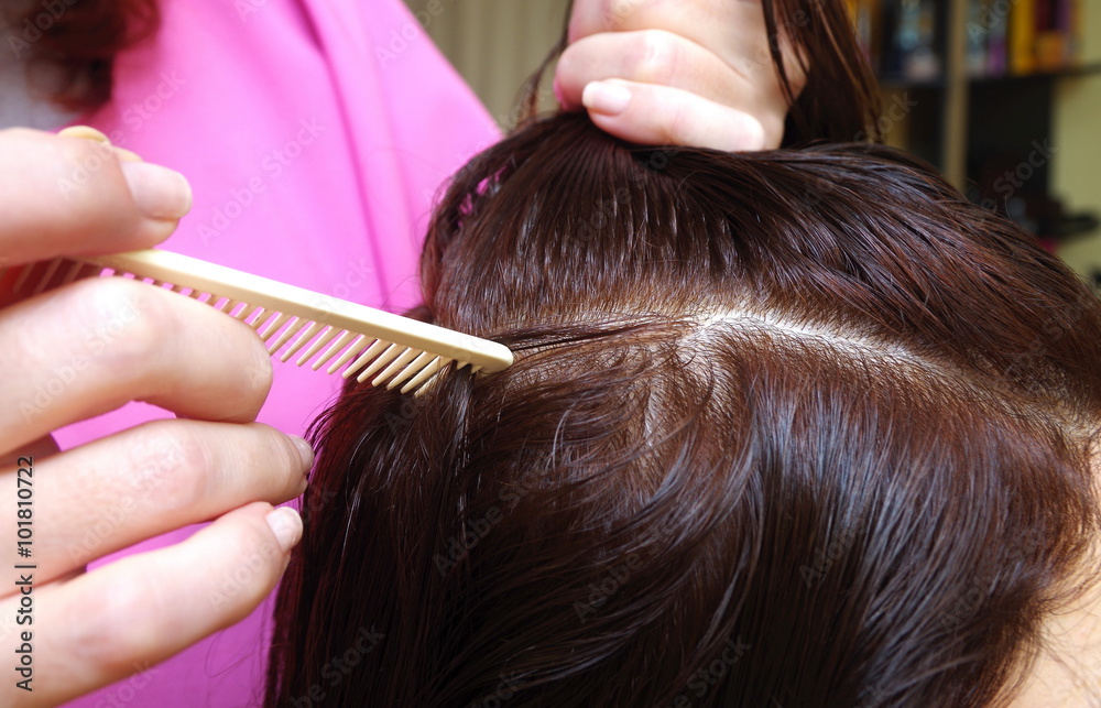 hairdresser prepares customer for haircut in a salon hairdresser prepares customer for haircut in a salon