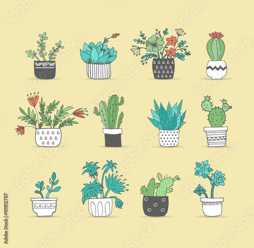 Cute hand drawn cactus set