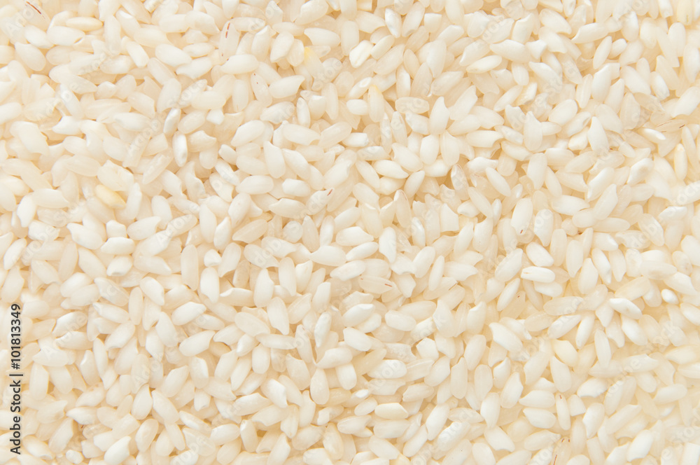 White rice background, uncooked raw cereals White rice background, uncooked raw cereals
