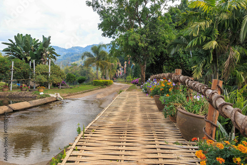 Flower Bamboo bridge and road crossover canal