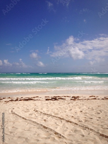 spiaggia caraibica 