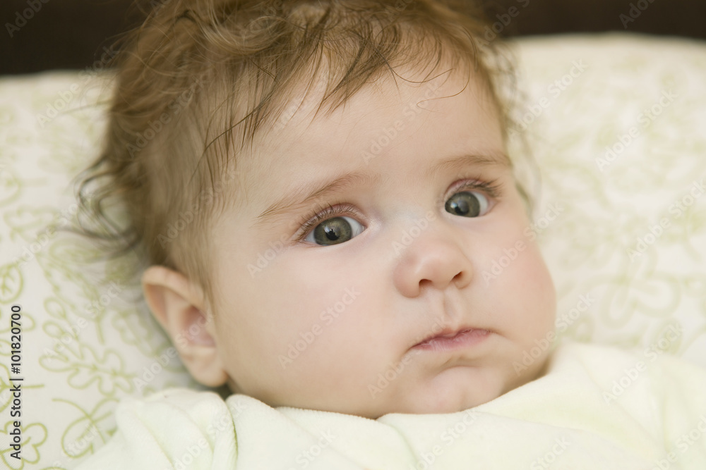 young baby portrait young baby portrait