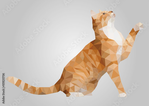 Orange and white cat standing and playing vector photo