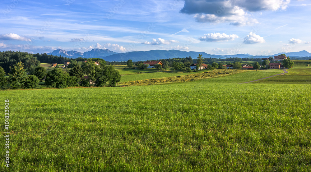 Bayern im Sommer