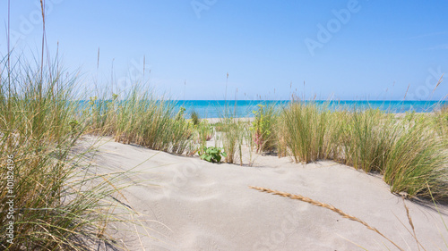 Maremma beach