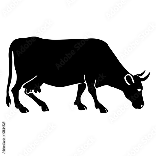 adult cow silhouette black