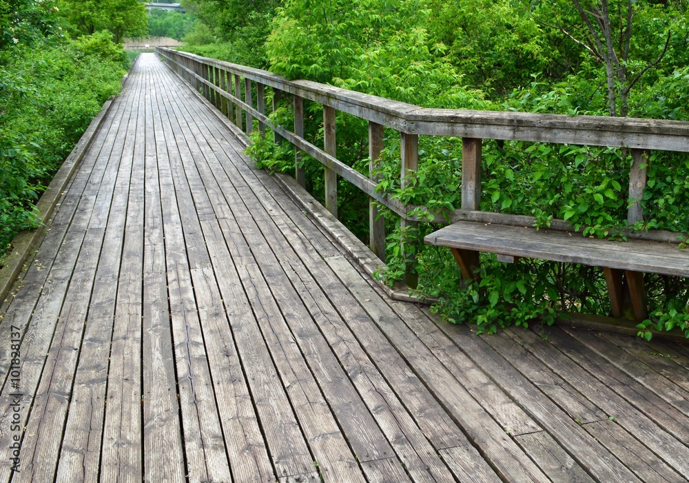 Nature boardwalk at the Grindstone Marsh Trail in Burlington Ontario, Canada 