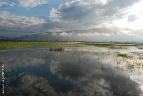 Cerknica intermittent lake  nature reserve  a protected area    karst phenomenon  aquatic vegetation  marsh  river disappearing  morning  misty  flood  reflection  clouds  watercolor  spring 