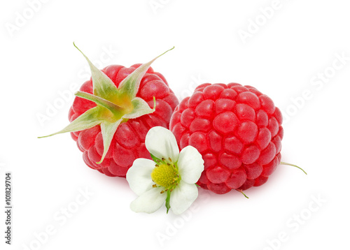 Two fresh ripe raspberry berries with flower isolated on white background. Design element for product label, catalog print, web use.
