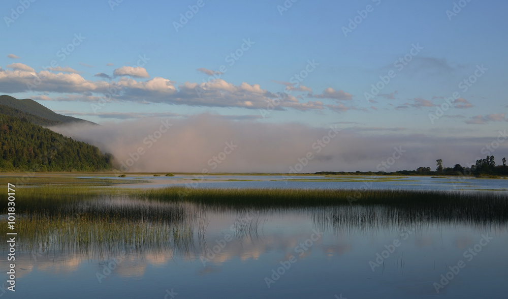 periodic lake, water, flood, karst phenomena, slovenia, protected area, fog, morning misty, aquatic plants, common reed, bulrush,