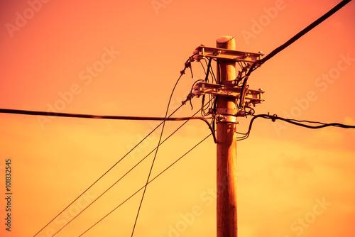 Electric pole and power line