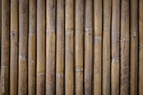 Close up of bamboo fence