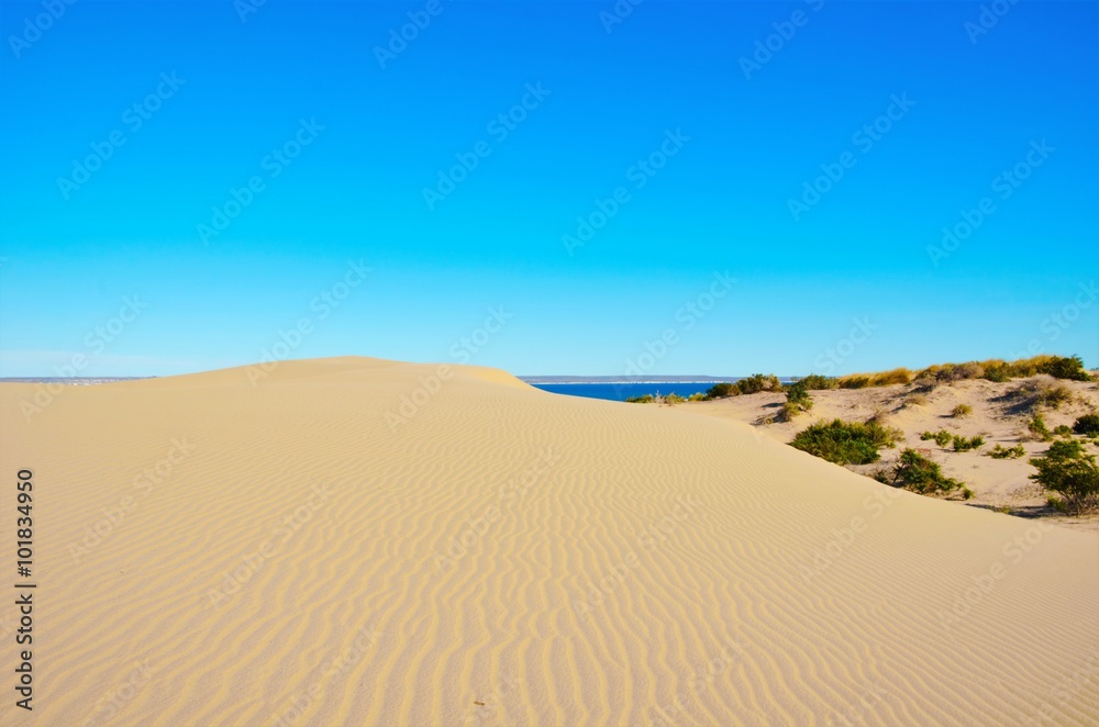 Sand dune on the way to Punta Loma in Patagonia, Argentina