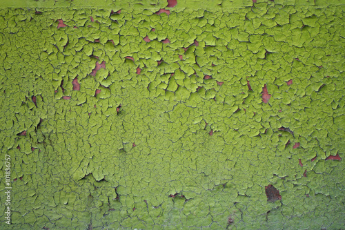 фотографія green painted walls