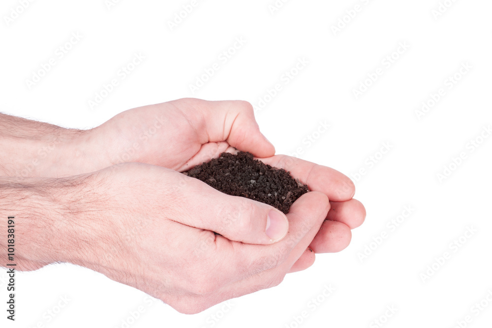 hands are holding black garden soil in closeup over white backgr hands are holding black garden soil in closeup over white backgr