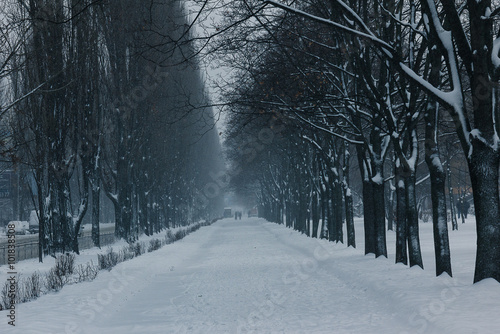 Beautiful winter alley