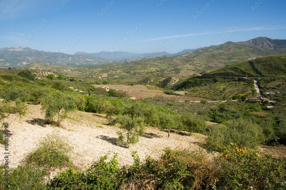 Typical landscape in the inland near Ribera, Sicily, Italy Typical landscape in the inland near Ribera, Sicily, Italy
