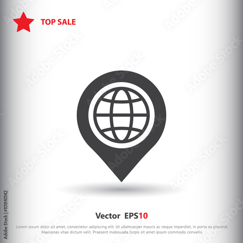 Pin with globe icon
