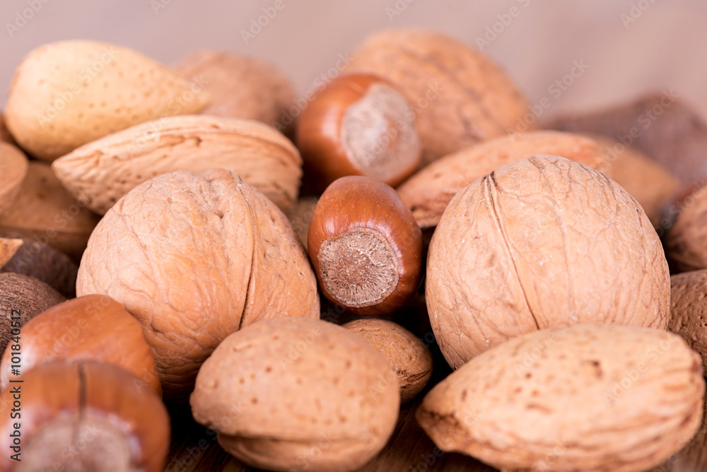 Various kinds of nuts in shells Various kinds of nuts in shells