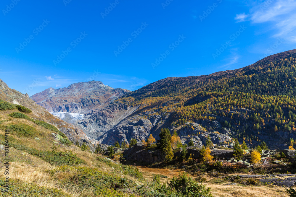 Autumn view of Aletsch glacier and Eggishorn