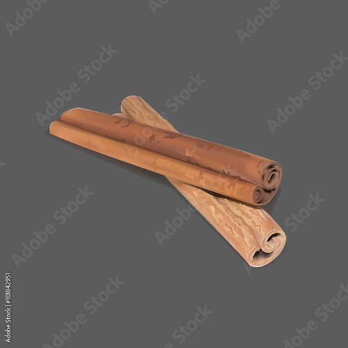 cinnamon stick isolated detailed vector icon