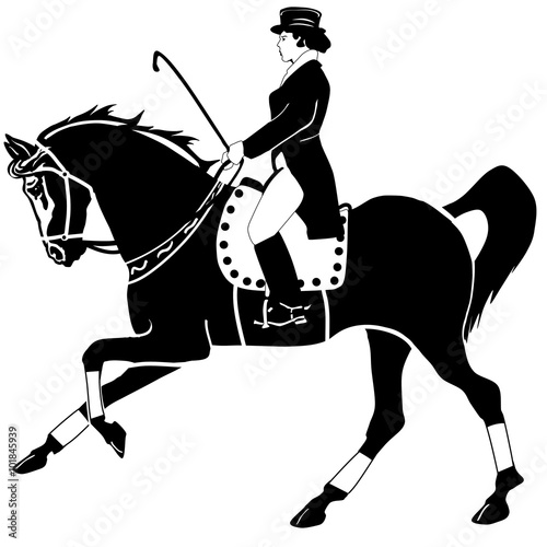 horseback riding and dressage