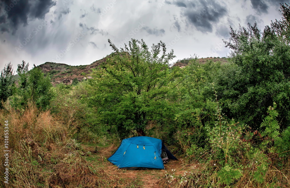 Blue tent in the bush