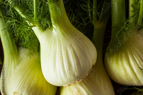 Raw Organic Fennel Bulbs