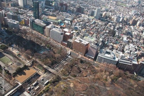 東京の風景、公園とビル群