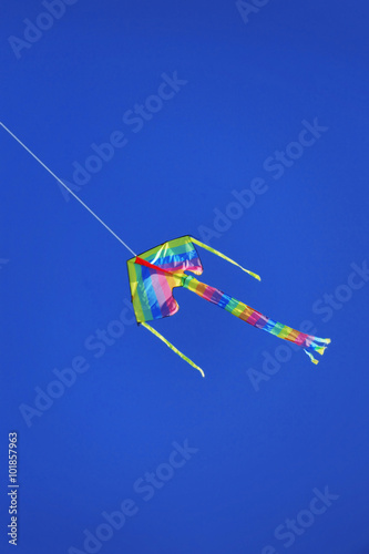 Kite in dark blue sky background