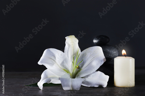 Spa still life with beautiful flower and candlelight on grey background
