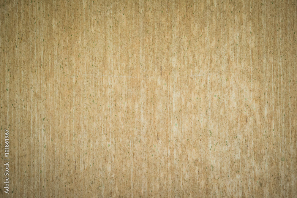 Old Wooden planks texture with fungus for background Old Wooden planks texture with fungus for background