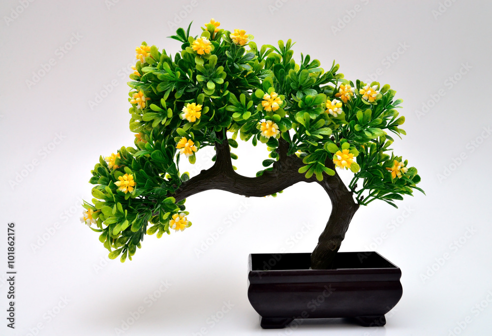 Fotobehang Bonsai Bonsai boom #101862176