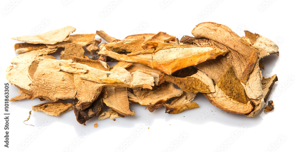 Dried porcini mushroom over white background Dried porcini mushroom over white background