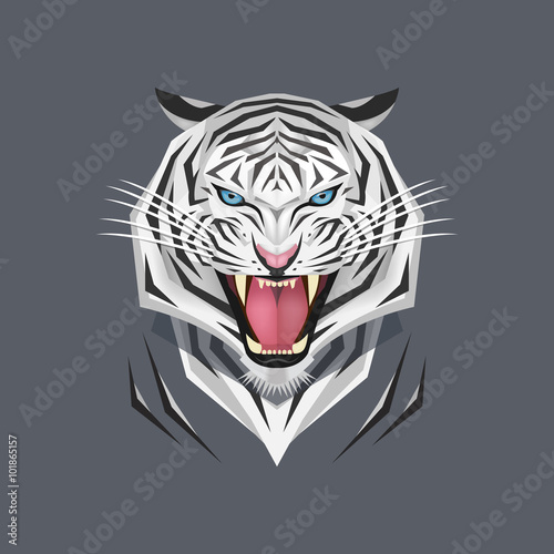 Fototapeta Naklejka Na Ścianę i Meble -  White tiger head, Vector illustration