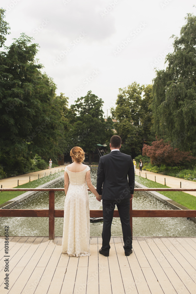 Fototapeta premium the bride and groom are holding each other