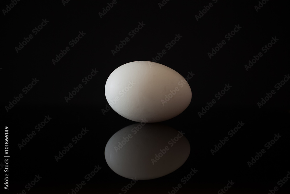 White egg agains a black background with reflection White egg agains a black background with reflection