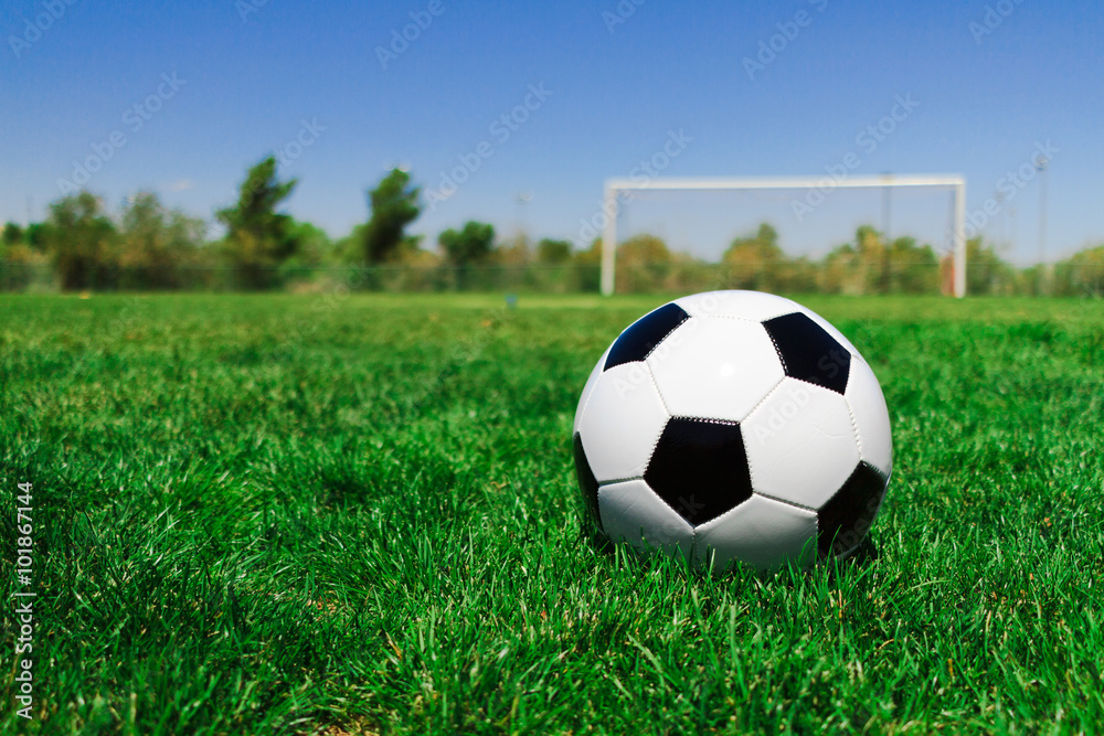 Obraz premium Soccer Ball with a Goal at a Field