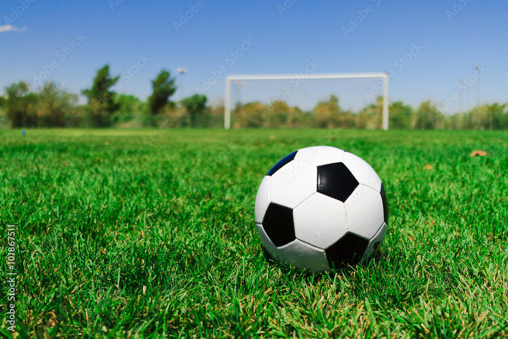Obraz premium Soccer Ball with a Goal at a Field