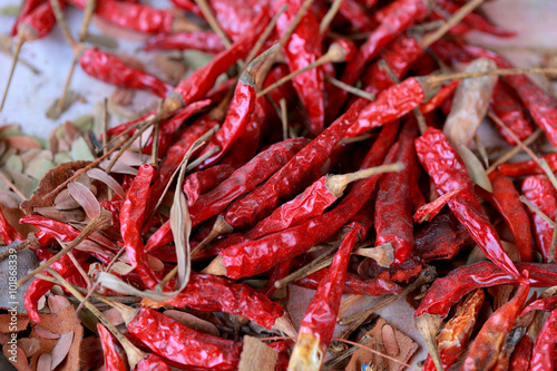 Dried chili a spicy condiment