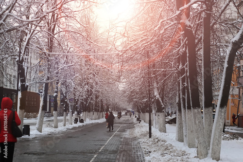 pedestrian way tree winter © alexkich