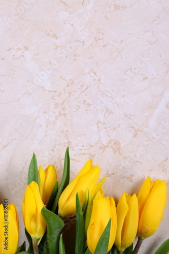 Fototapeta Naklejka Na Ścianę i Meble -  Tulipany