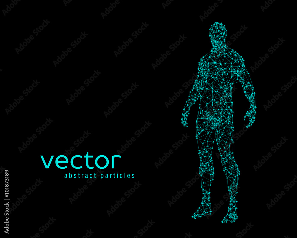Vector illustration of human body