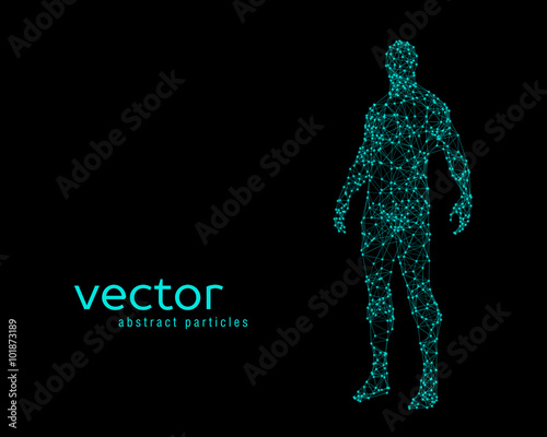 Vector illustration of human body