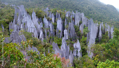 Pinnacles, Gunung Mulu Nationalpark, Borneo