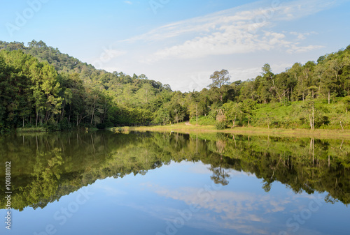 Scenic view of pine tree with lake. Pang Oung, a serene lake in a valley with surrounded by mountain ranges in Mae Hong Son, Thailand