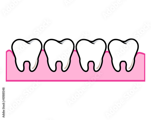 teeth
